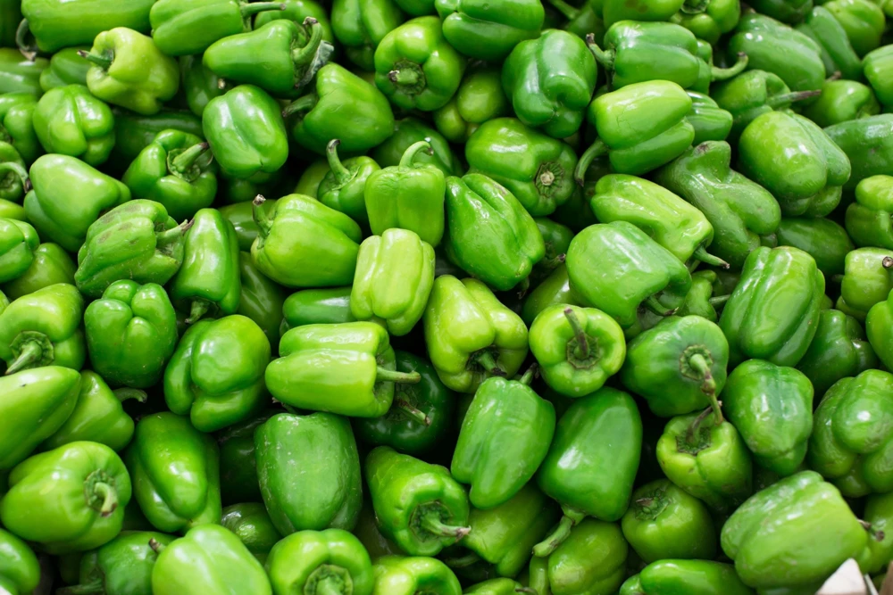 Sweet Green California Wonder Bell Pepper Seeds - 200 Count - Image 5