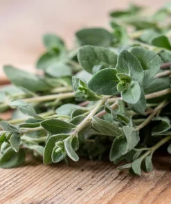 Sweet Marjoram Seeds – Origanum majorana – 150 Seeds – Aromatic Heirloom Herb - Image 5