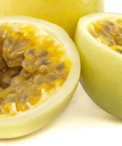 Sweet Sunrise Passion Fruit Live Plant - Climbing Vine, 4-6 In Tall, Tropical Fruit - Image 3