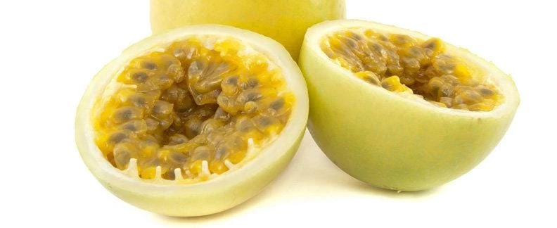 Sweet Sunrise Passion Fruit Live Plant - Climbing Vine, 4-6 In Tall, Tropical Fruit - Image 3