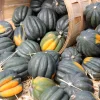 Table Queen Acorn Squash Seeds - 50 Heirloom Vegetable Seeds - Cucurbita Pepo - Image 1