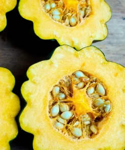 Table Queen Acorn Squash Seeds - 50 Heirloom Vegetable Seeds - Cucurbita Pepo - Image 2