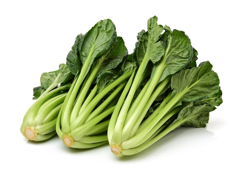 Tatsoi Spinach Mustard Seeds - 1000 Count - Brassica Rapa Rosularis Vegetable Seeds - Image 3