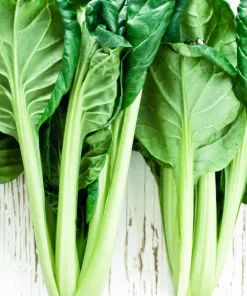 Tatsoi Spinach Mustard Seeds - 1000 Count - Brassica Rapa Rosularis Vegetable Seeds - Image 8