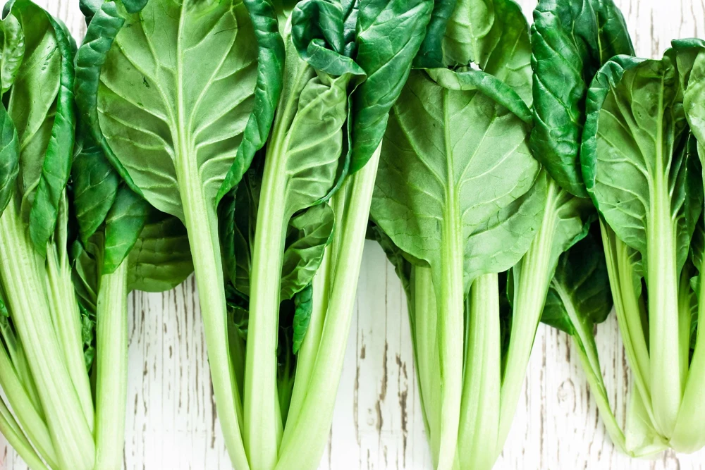 Tatsoi Spinach Mustard Seeds - 1000 Count - Brassica Rapa Rosularis Vegetable Seeds - Image 8
