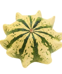 Ten Commandments Gourd Seeds - 25 Quantity, Mixed Colors, Cucurbita Pepo - Image 4