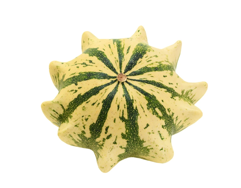 Ten Commandments Gourd Seeds - 25 Quantity, Mixed Colors, Cucurbita Pepo - Image 4