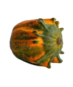 Ten Commandments Gourd Seeds - 25 Quantity, Mixed Colors, Cucurbita Pepo - Image 5