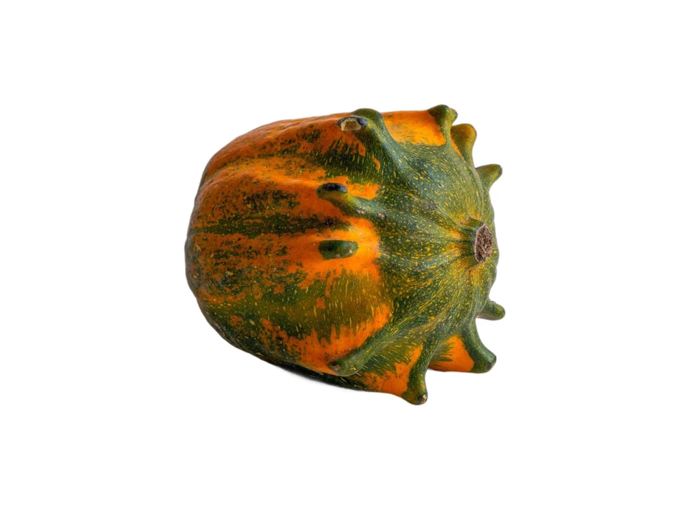 Ten Commandments Gourd Seeds - 25 Quantity, Mixed Colors, Cucurbita Pepo - Image 5