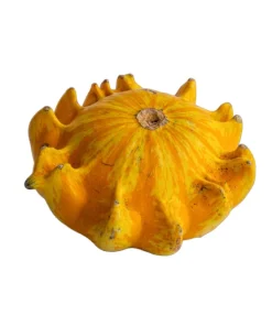 Ten Commandments Gourd Seeds - 25 Quantity, Mixed Colors, Cucurbita Pepo - Image 6