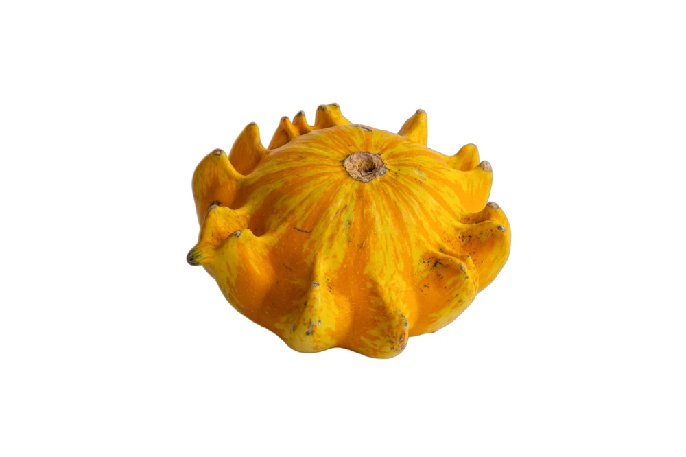Ten Commandments Gourd Seeds - 25 Quantity, Mixed Colors, Cucurbita Pepo - Image 6