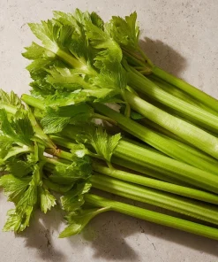 Tendercrisp Celery Seeds - 300 Heirloom Seeds - Easy Grow Vegetable Garden - Image 2