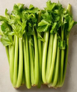 Tendercrisp Celery Seeds - 300 Heirloom Seeds - Easy Grow Vegetable Garden - Image 1