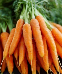 Tendersweet Carrot Seeds – 150 Seeds, Smooth, Extra Sweet Roots for Juicing & Cooking - Image 3