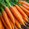 Tendersweet Carrot Seeds – 150 Seeds, Smooth, Extra Sweet Roots for Juicing & Cooking - Image 1