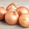 Texas Early Grano Onion Seeds – 400 Sweet Yellow Allium Cepa Vegetable Seeds - Image 1