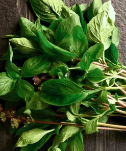 Thai Basil Seeds - Heirloom Aromatic Culinary Herb, 250 Seed Packet, for Culinary Gardens - Image 2