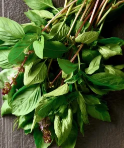Thai Basil Seeds - Heirloom Aromatic Culinary Herb, 250 Seed Packet, for Culinary Gardens - Image 4