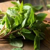 Thai Basil Seeds - Heirloom Aromatic Culinary Herb, 250 Seed Packet, for Culinary Gardens - Image 1