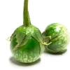 Thai Round Green Eggplant Seeds – Solanum Melongena – 100 Seeds for Planting - Image 1