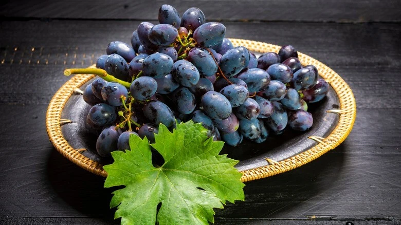 Thomcord Seedless Grape Vine Live Plant - 1-2 Year Old, Outdoor, Edible Blue Grapes - Image 3