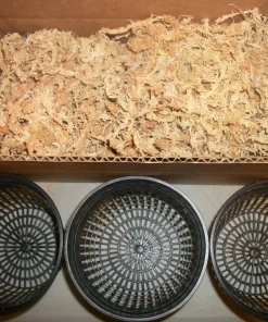 Three 5 Inch Net Pots with New Zealand Sphagnum Moss for Carnivorous Plants & Orchids - Image 1