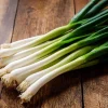 Tokyo Long White Bunching Onion Seeds - 200 Count - Mild Flavor for Gardens - Image 1