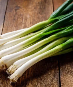 Tokyo Long White Bunching Onion Seeds - 200 Count - Mild Flavor for Gardens - Image 1