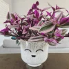 Tradescantia Nanouk Live Plant - Colorful Potted Houseplant with Ceramic Pot - Image 1