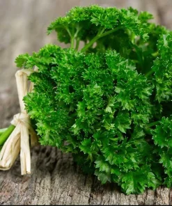 Triple Curled Parsley Seeds - 7000 Seeds for Planting, Herb Vegetable - Image 2