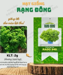Triple Curled Parsley Seeds - 7000 Seeds for Planting, Herb Vegetable - Image 3