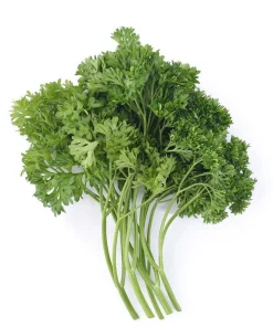 Triple Curled Parsley Seeds - 7000 Seeds for Planting, Herb Vegetable - Image 5
