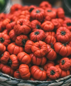 Turkish Orange Eggplant Seeds - 25 Seeds - Heirloom Vegetable for Garden - Image 3