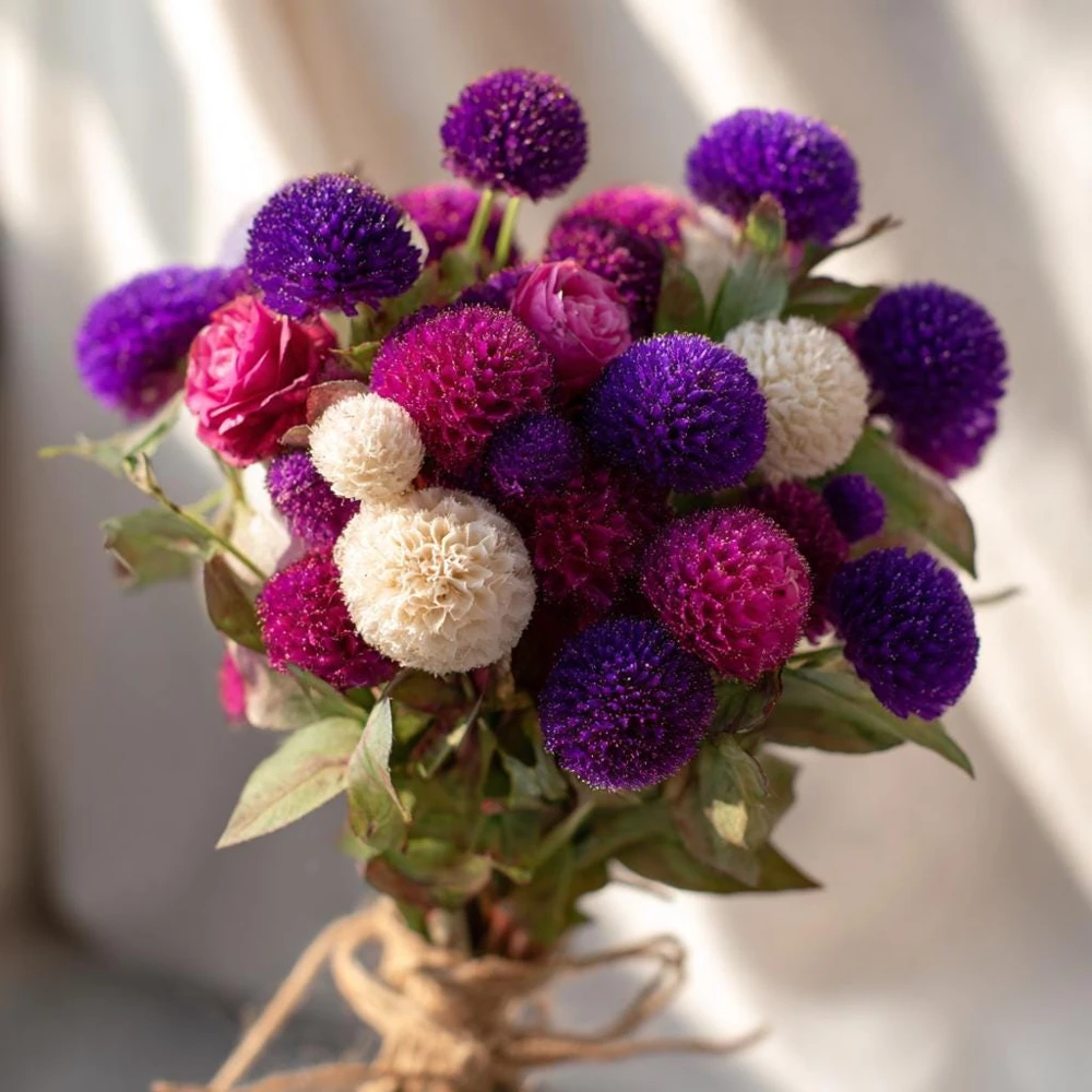 Twilight Purple Globe Amaranth Seeds - 50 Seeds, Long-Lasting Blooms, Outdoor - Image 4