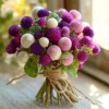Twilight Purple Globe Amaranth Seeds - 50 Seeds, Long-Lasting Blooms, Outdoor - Image 1