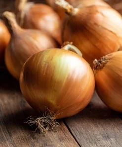 Utah Yellow Onion Seeds - 200 Heirloom Long Day Onion Seeds for Garden - Image 3