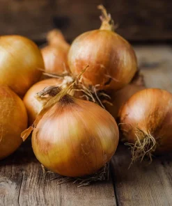 Utah Yellow Onion Seeds - 200 Heirloom Long Day Onion Seeds for Garden - Image 1
