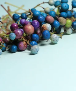 Variegated Porcelain Berry Vine Seeds - 10 Count - Ampelopsis Elegans - Image 3