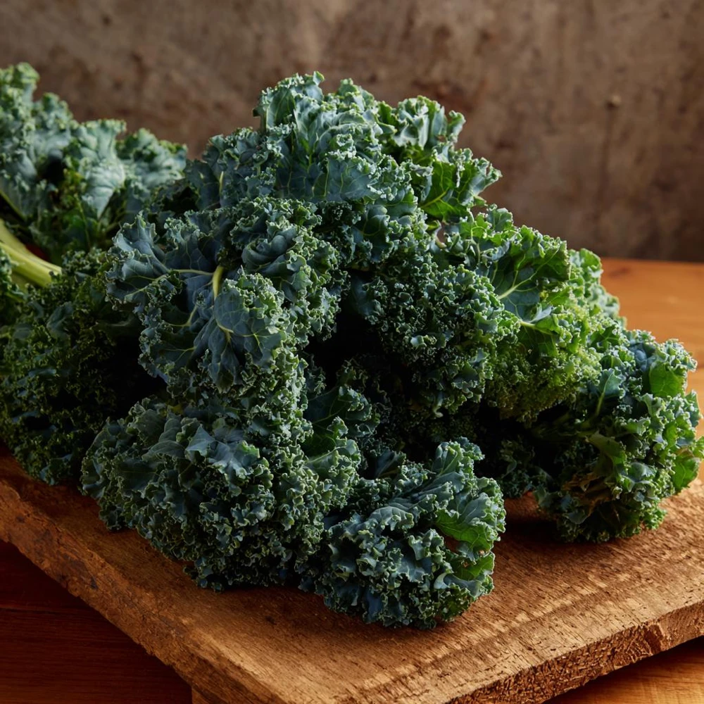 Vates Blue Curled Kale Seeds - 300 Count Packet - Cold Hardy Leafy Greens - Image 2