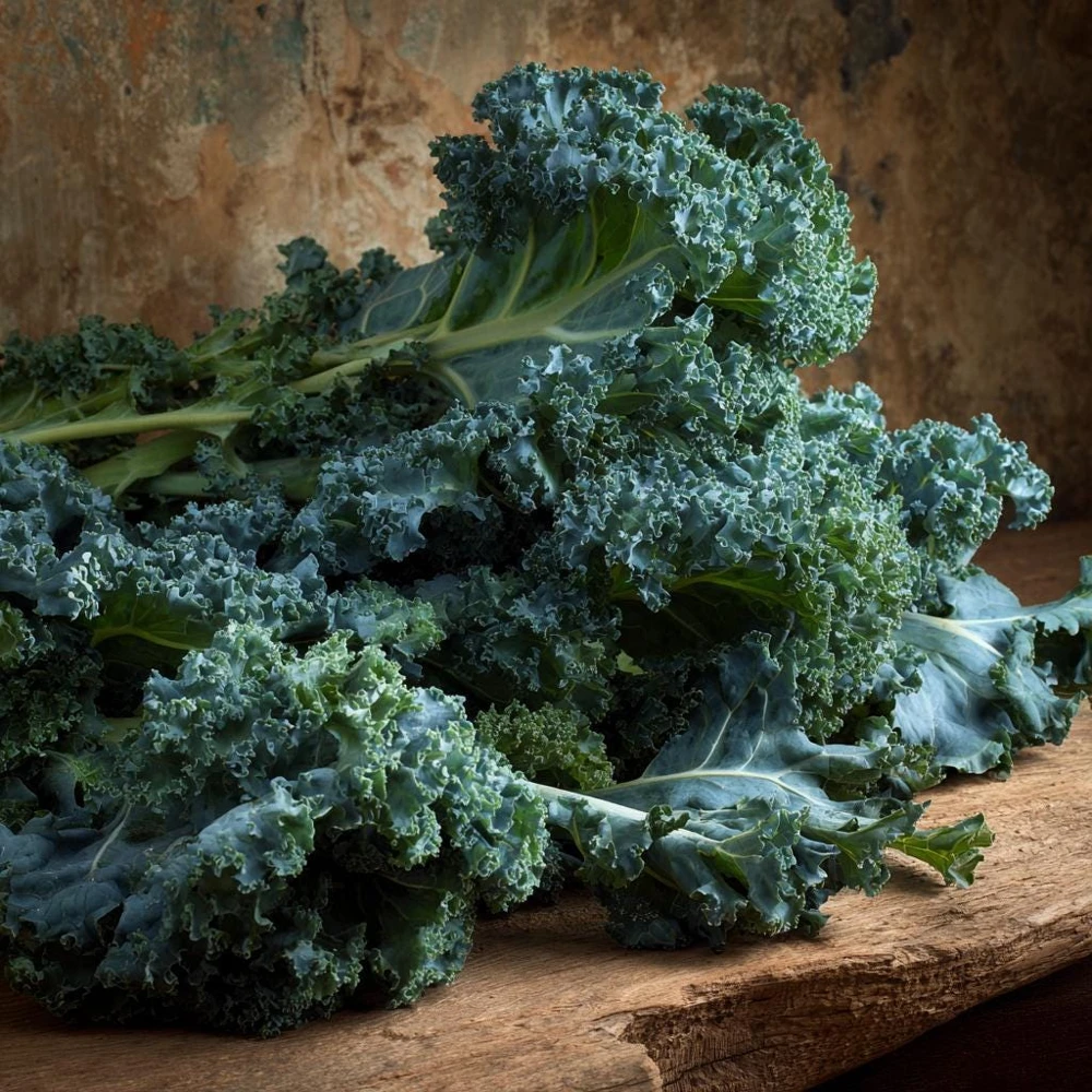 Vates Blue Curled Kale Seeds - 300 Count Packet - Cold Hardy Leafy Greens - Image 4