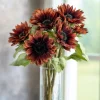 Velvet Queen Sunflower Seeds - 25 Heirloom Helianthus annuus for Gardens & Cut Flowers - Image 1