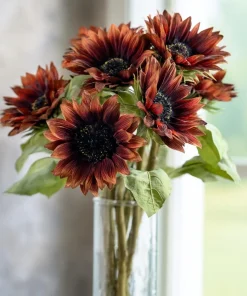 Velvet Queen Sunflower Seeds - 25 Heirloom Helianthus annuus for Gardens & Cut Flowers - Image 1