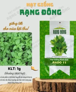 Vietnamese Mint Seeds - Elsholtzia Ciliata Herb Seeds for Planting (1800 Seeds) - Image 3