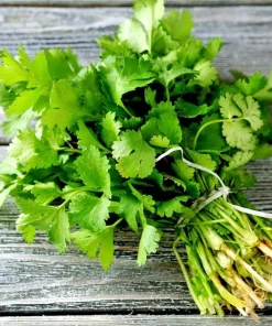 Vietnamese Small Leaf Coriander Seeds for Planting - 3000 Cilantro Seeds - Image 4