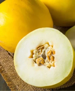Vine Peach Melon Seeds - 25 Sweet Mango-Flavor Melon Seeds for Gardens - Image 2