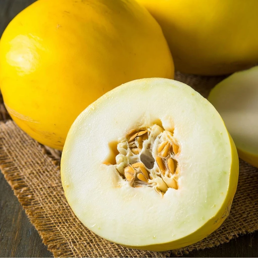 Vine Peach Melon Seeds - 25 Sweet Mango-Flavor Melon Seeds for Gardens - Image 2