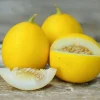 Vine Peach Melon Seeds - 25 Sweet Mango-Flavor Melon Seeds for Gardens - Image 1