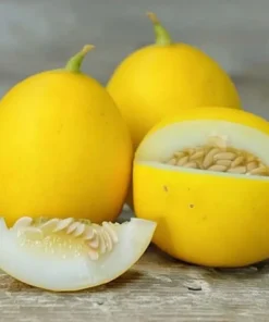 Vine Peach Melon Seeds - 25 Sweet Mango-Flavor Melon Seeds for Gardens - Image 1