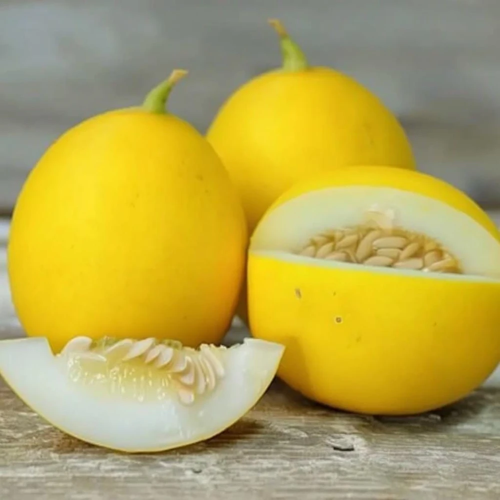 Vine Peach Melon Seeds - 25 Sweet Mango-Flavor Melon Seeds for Gardens - Image 1