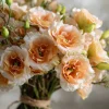 Voyage 2 Champagne Lisianthus Seeds - 25 Seeds, Soft Apricot Eustoma Grandiflorum - Image 1